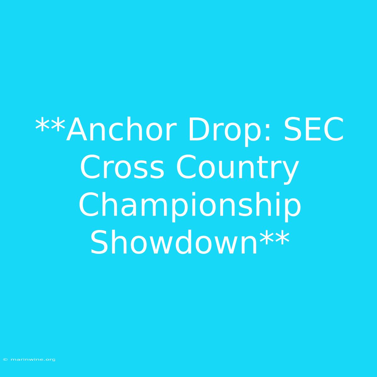 **Anchor Drop: SEC Cross Country Championship Showdown** 