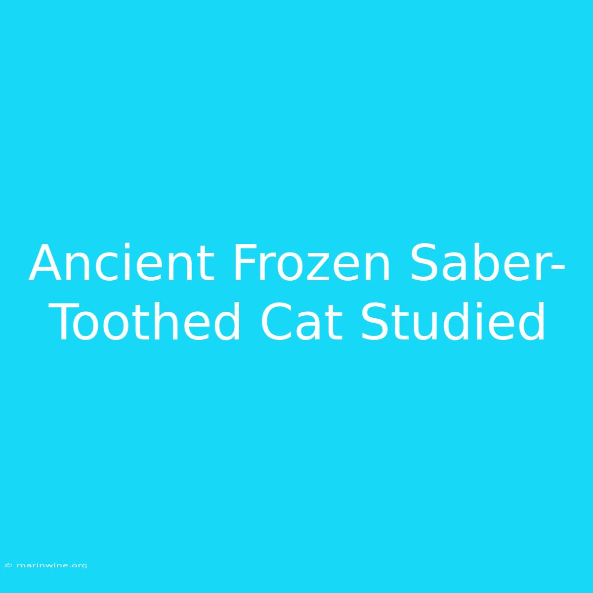 Ancient Frozen Saber-Toothed Cat Studied