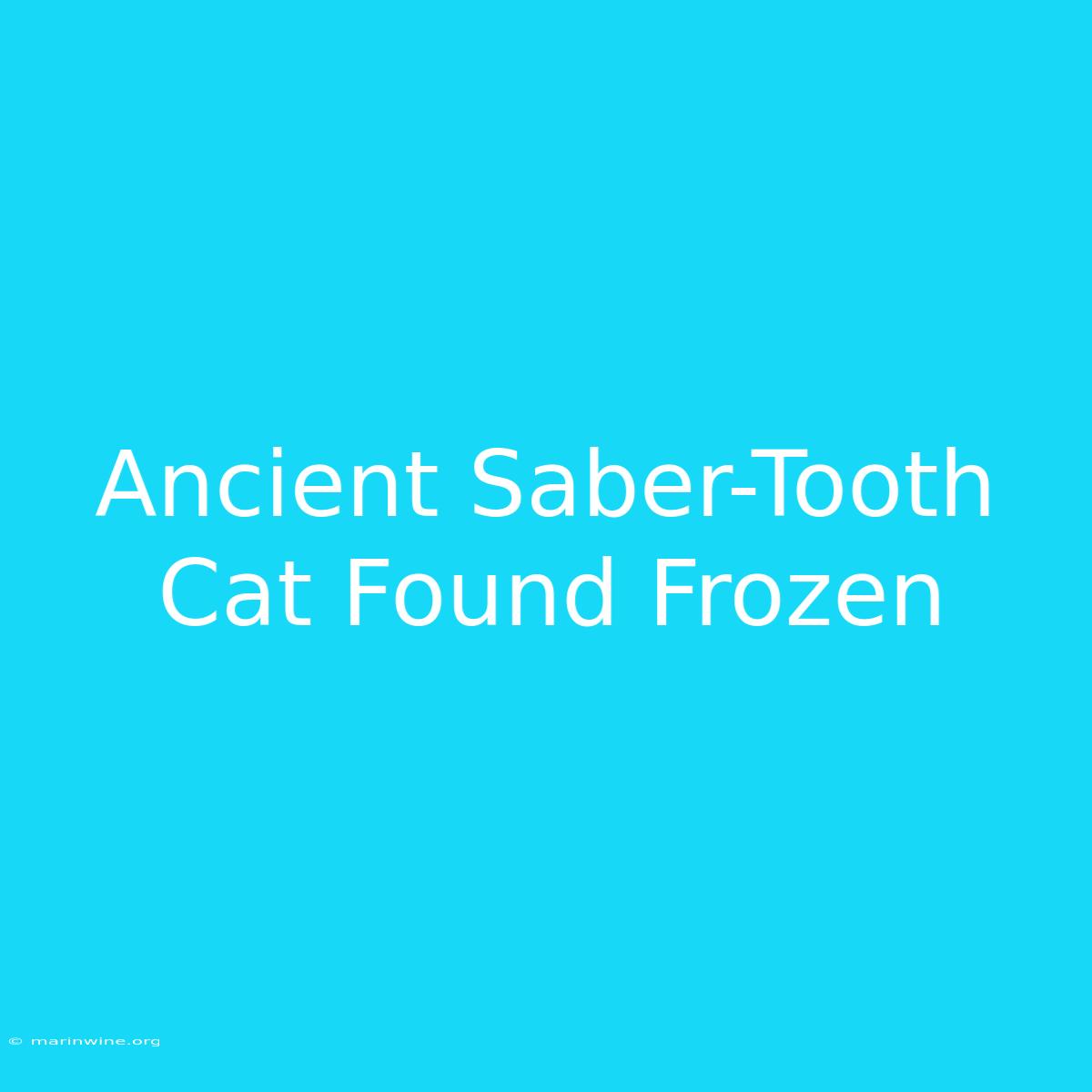 Ancient Saber-Tooth Cat Found Frozen