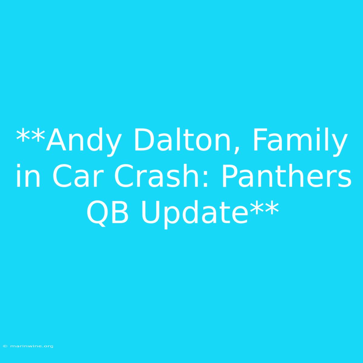 **Andy Dalton, Family In Car Crash: Panthers QB Update**