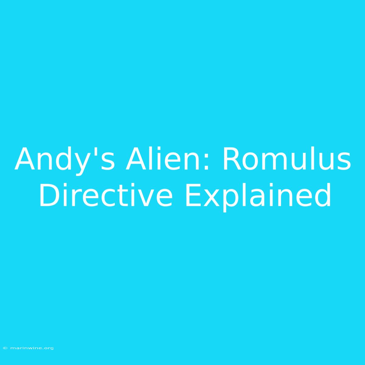 Andy's Alien: Romulus Directive Explained