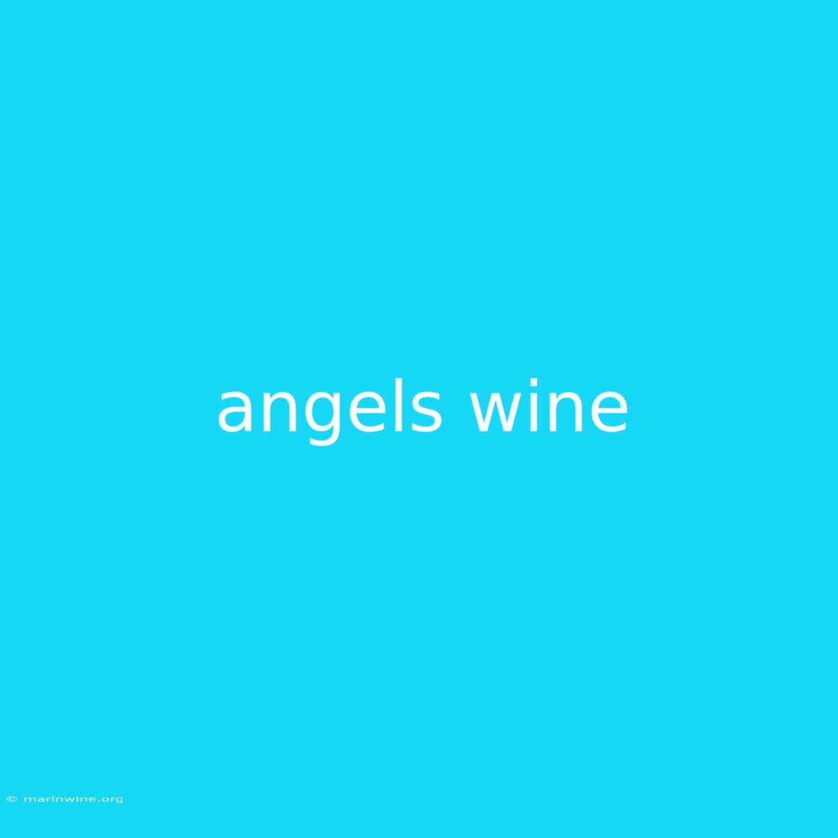 Angels Wine