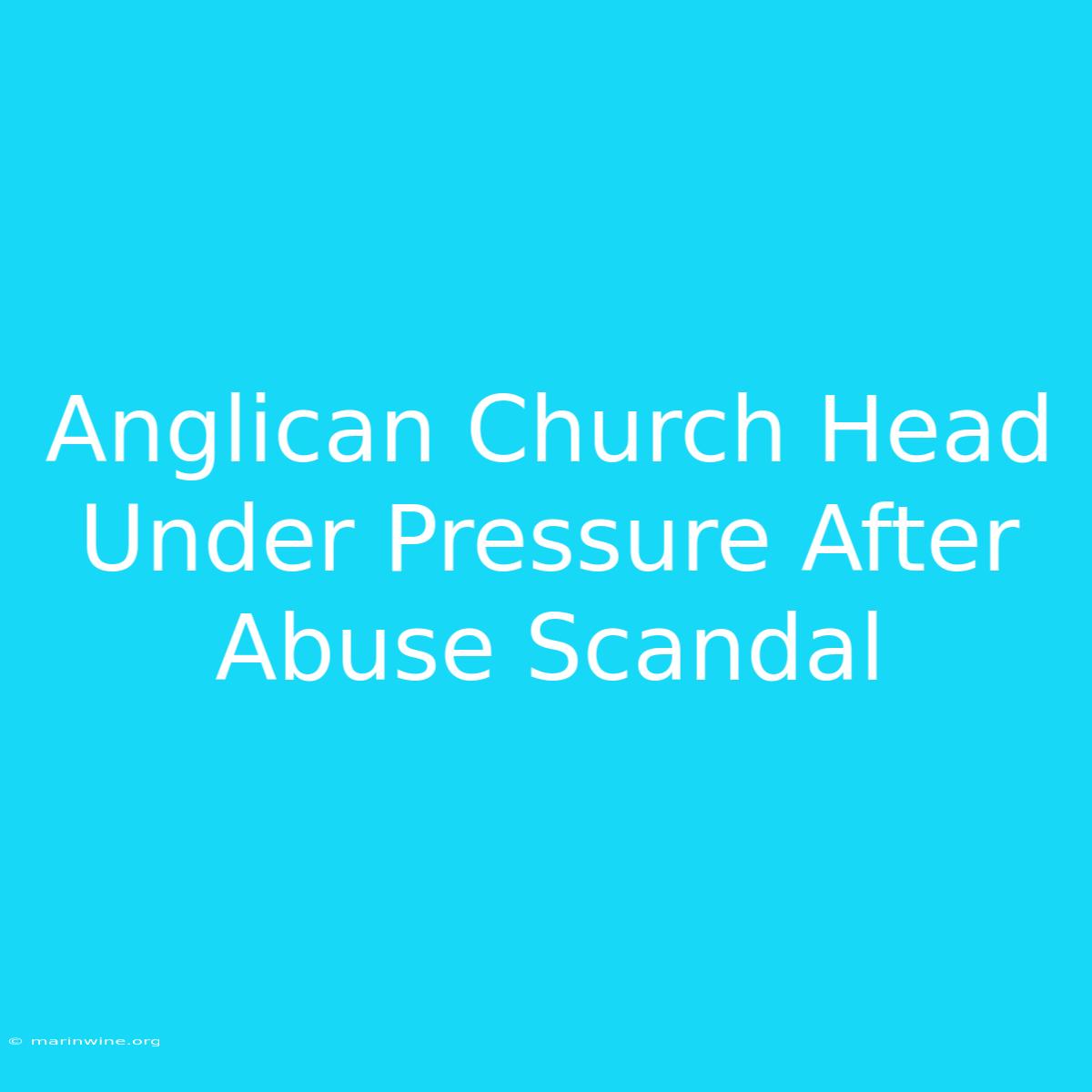 Anglican Church Head Under Pressure After Abuse Scandal 