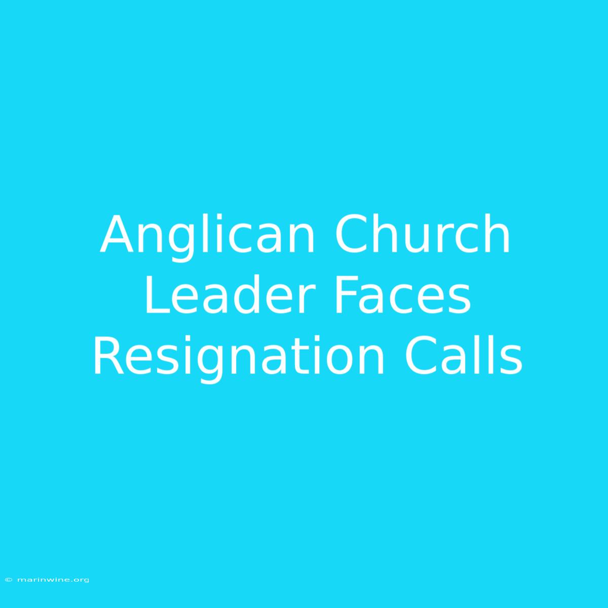 Anglican Church Leader Faces Resignation Calls