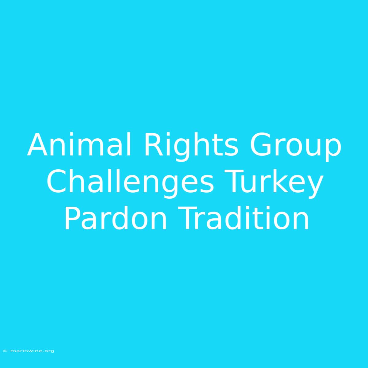 Animal Rights Group Challenges Turkey Pardon Tradition