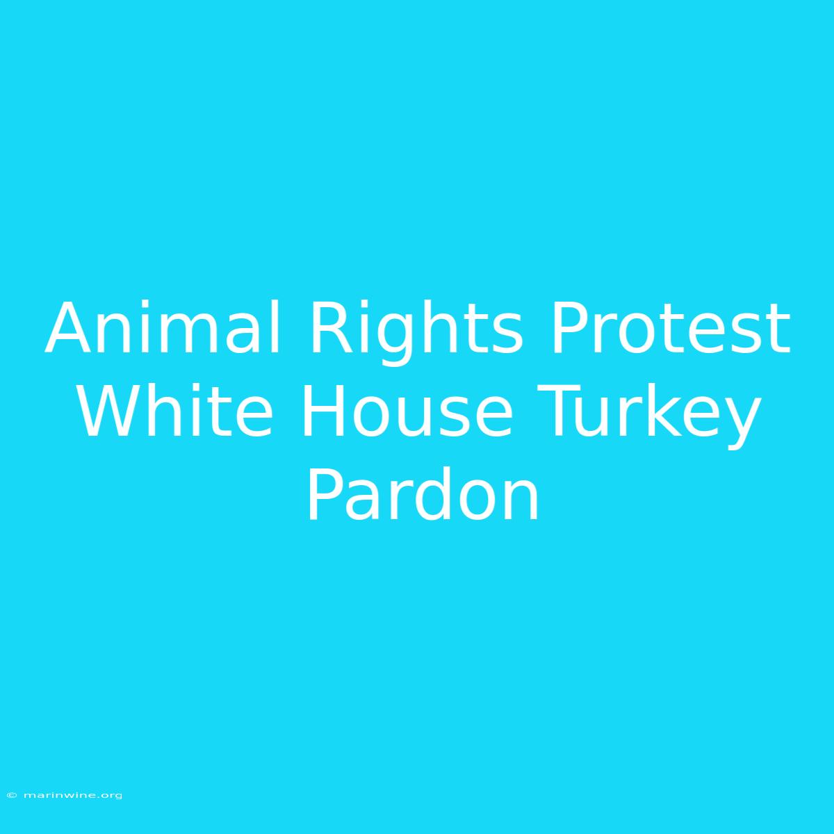 Animal Rights Protest White House Turkey Pardon