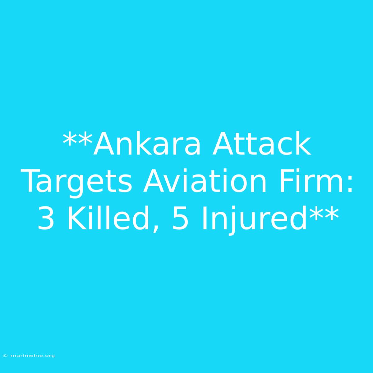 **Ankara Attack Targets Aviation Firm: 3 Killed, 5 Injured** 