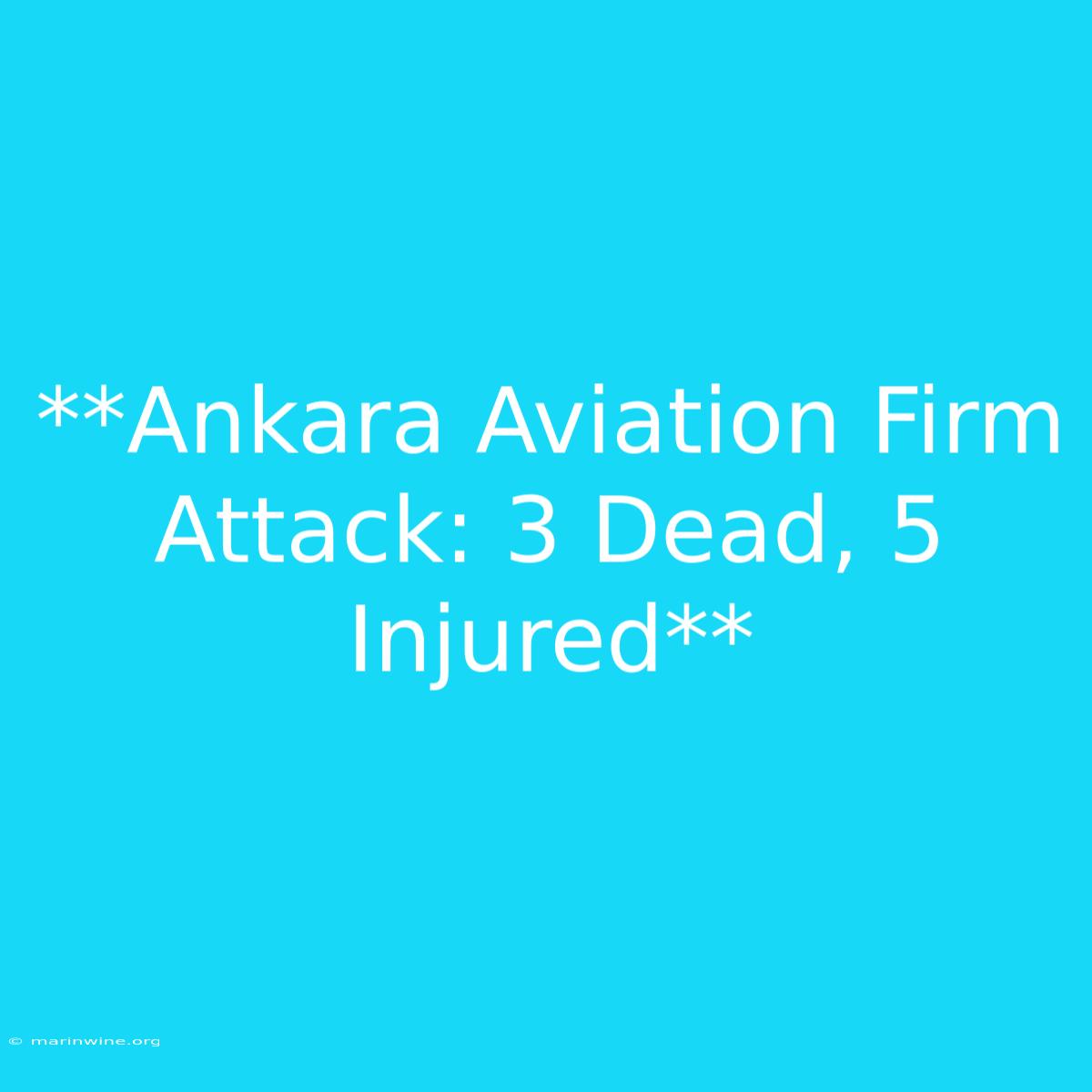 **Ankara Aviation Firm Attack: 3 Dead, 5 Injured**