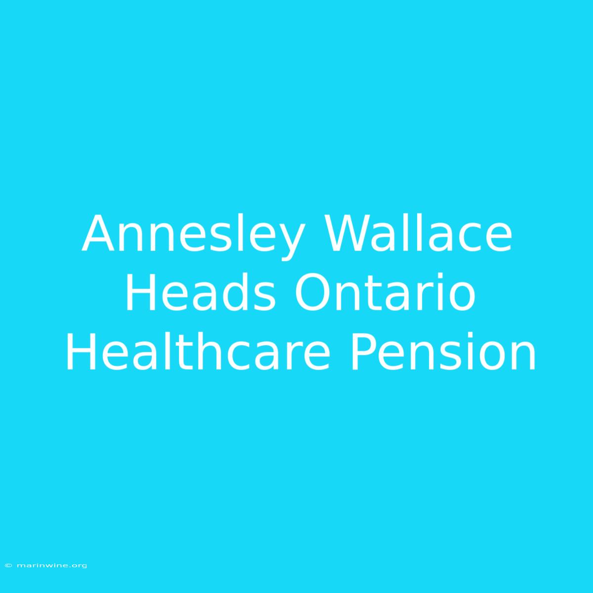 Annesley Wallace Heads Ontario Healthcare Pension