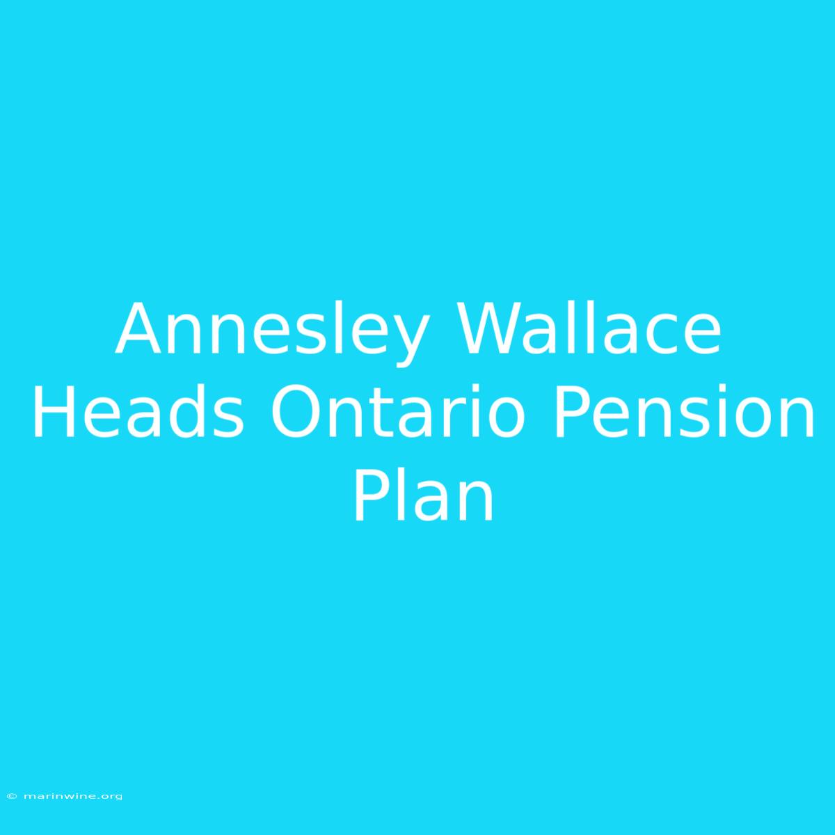 Annesley Wallace Heads Ontario Pension Plan