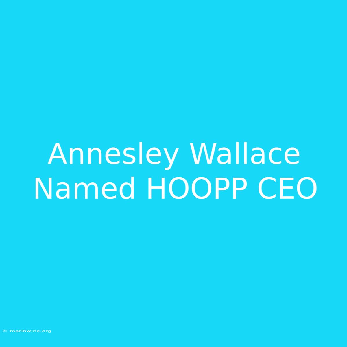 Annesley Wallace Named HOOPP CEO