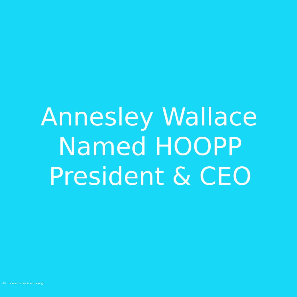 Annesley Wallace Named HOOPP President & CEO