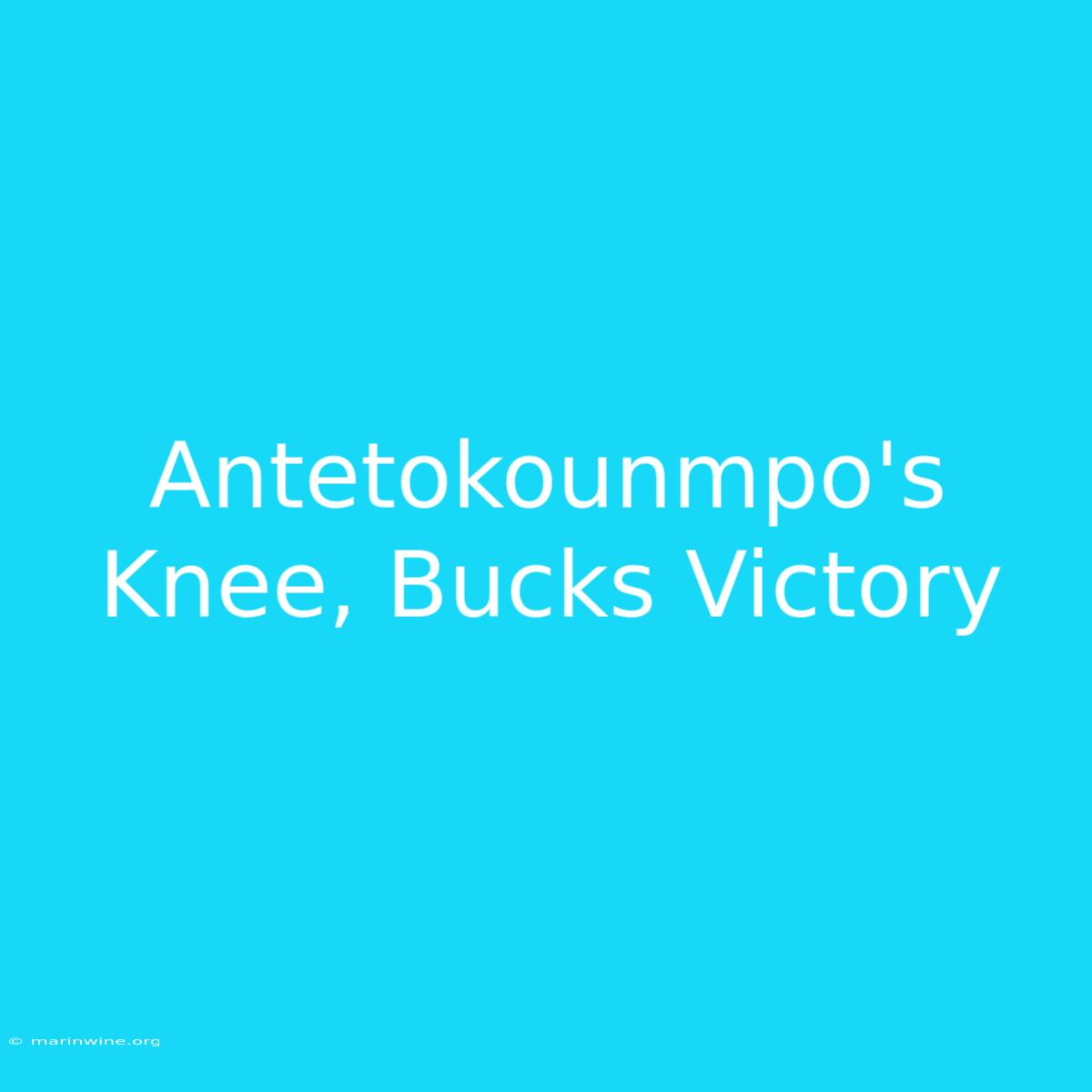 Antetokounmpo's Knee, Bucks Victory