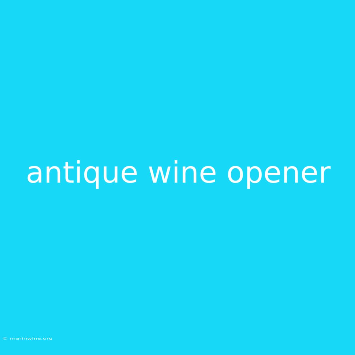 Antique Wine Opener