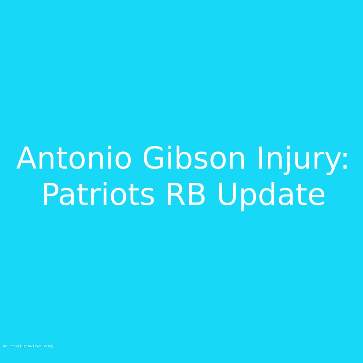 Antonio Gibson Injury: Patriots RB Update