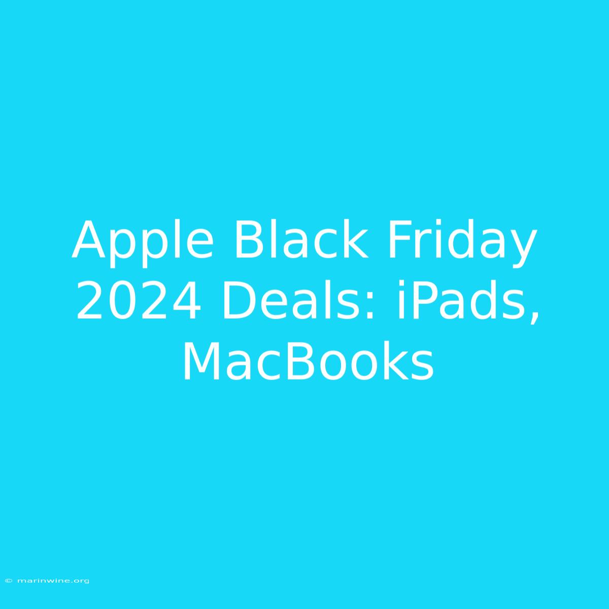 Apple Black Friday 2024 Deals: IPads, MacBooks