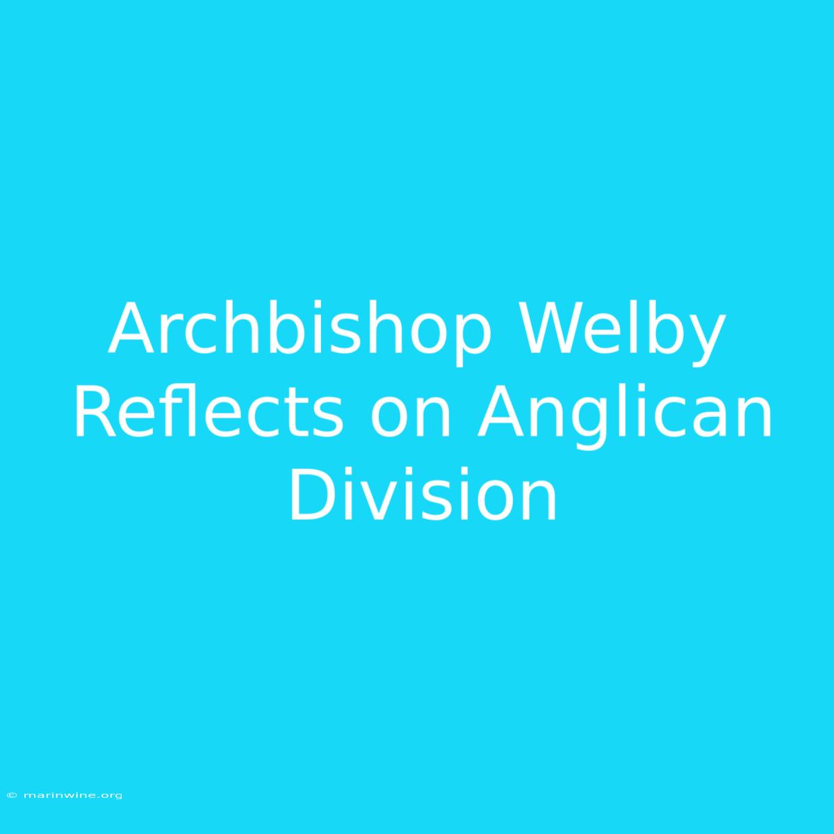 Archbishop Welby Reflects On Anglican Division