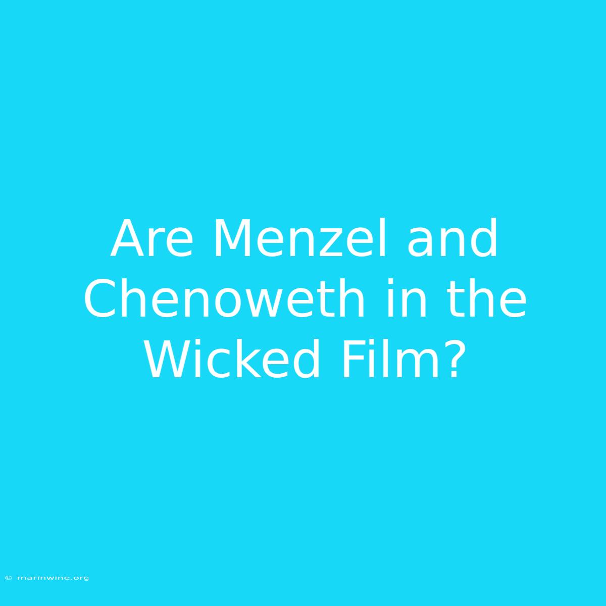 Are Menzel And Chenoweth In The Wicked Film?