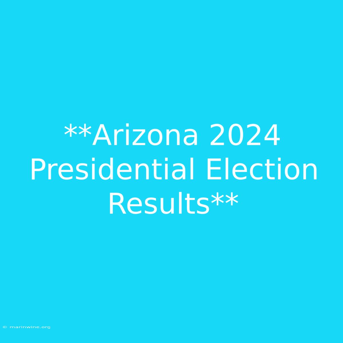 **Arizona 2024 Presidential Election Results**