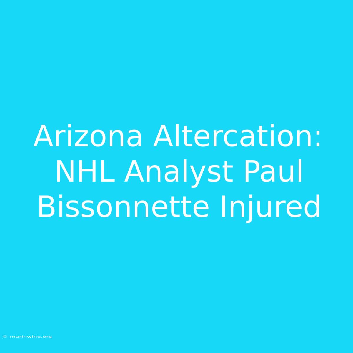 Arizona Altercation: NHL Analyst Paul Bissonnette Injured