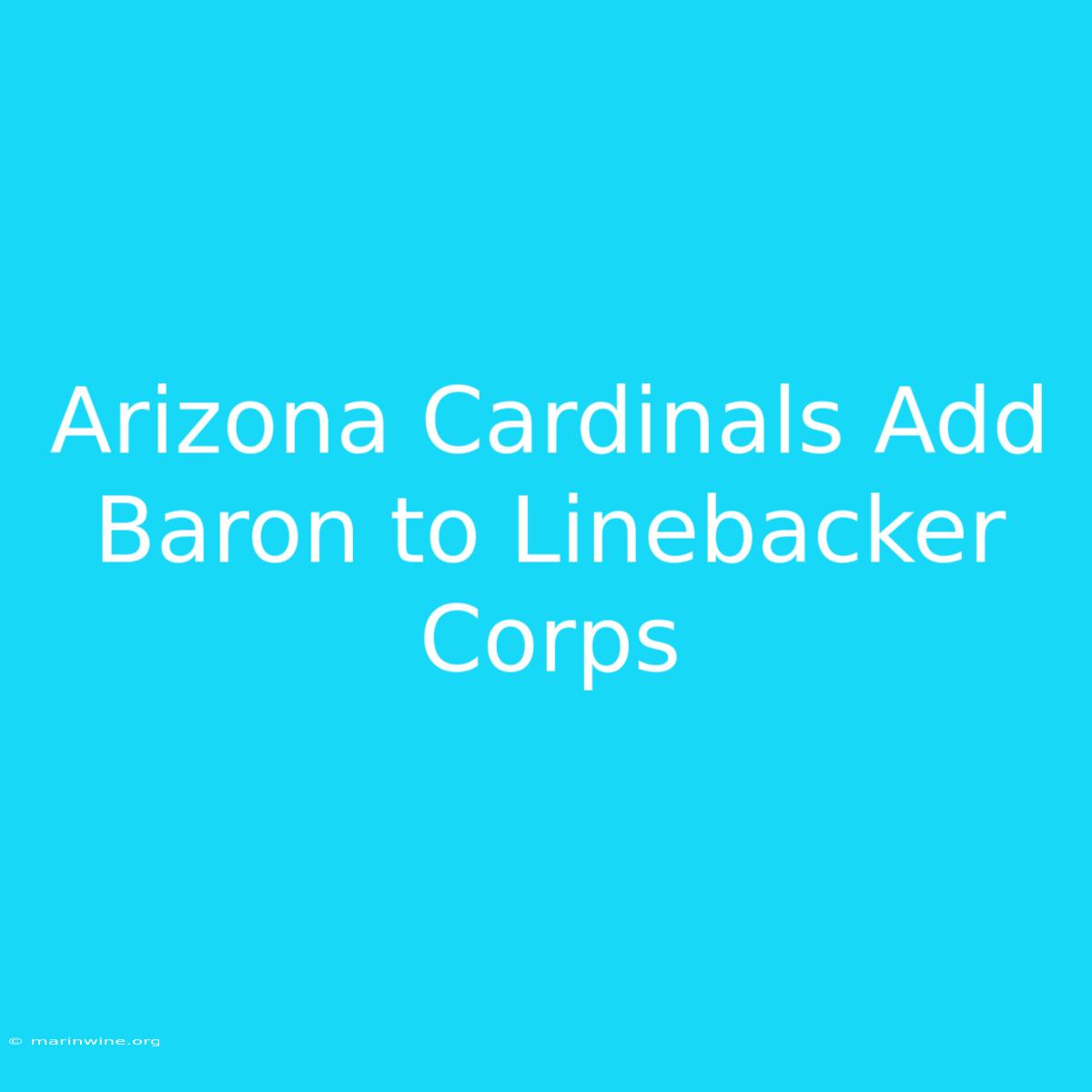 Arizona Cardinals Add Baron To Linebacker Corps 