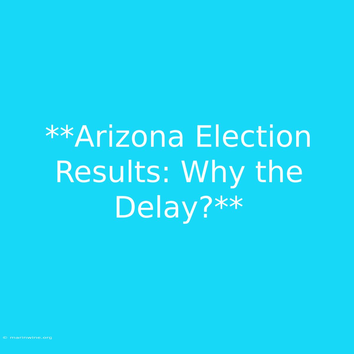 **Arizona Election Results: Why The Delay?**