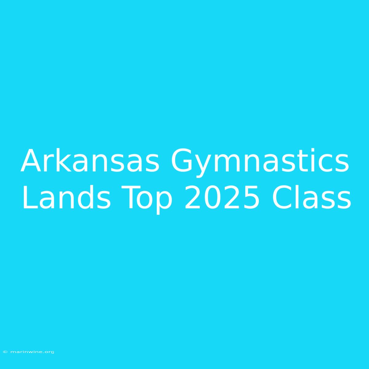 Arkansas Gymnastics Lands Top 2025 Class