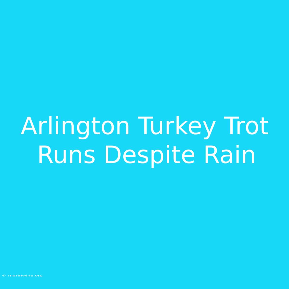 Arlington Turkey Trot Runs Despite Rain