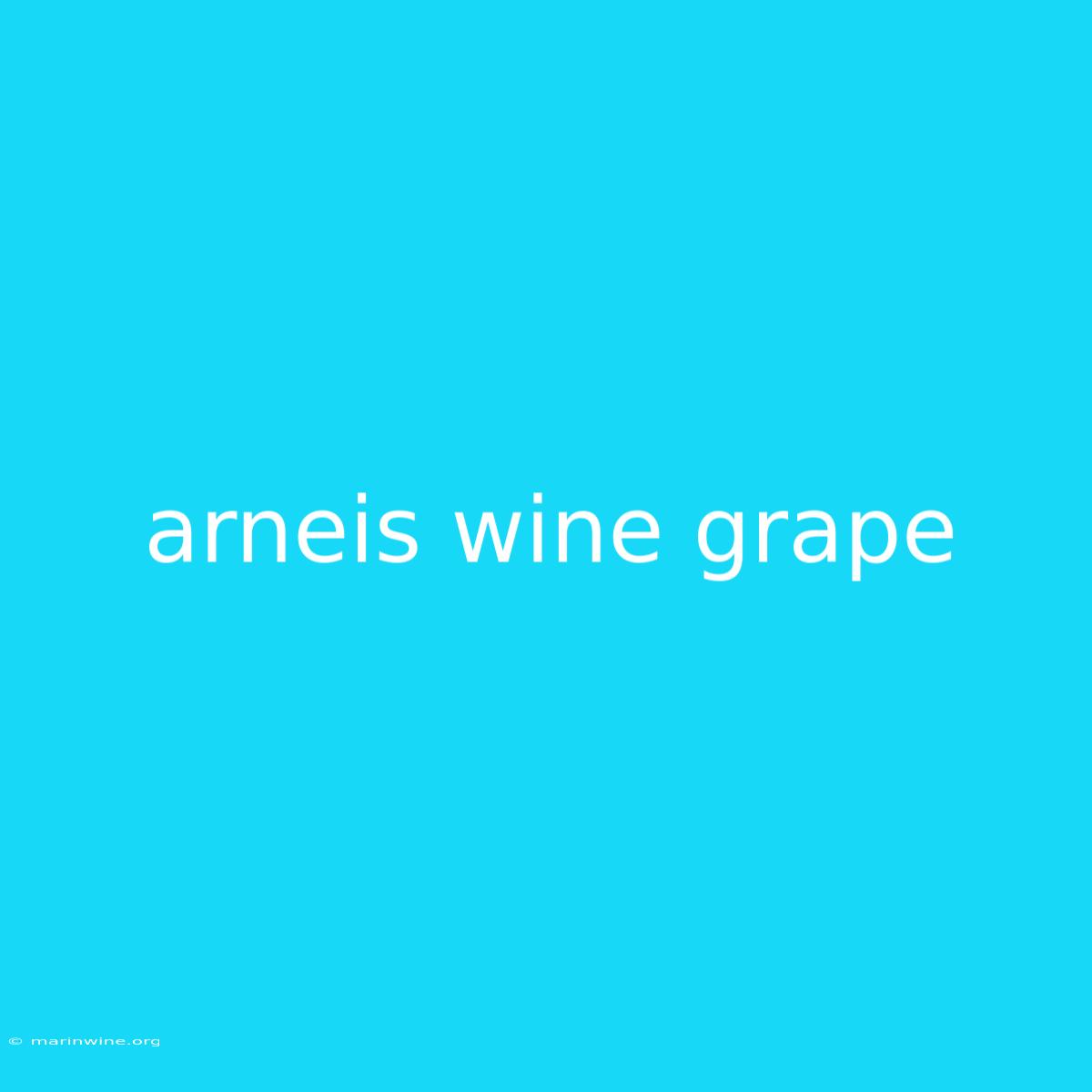 Arneis Wine Grape