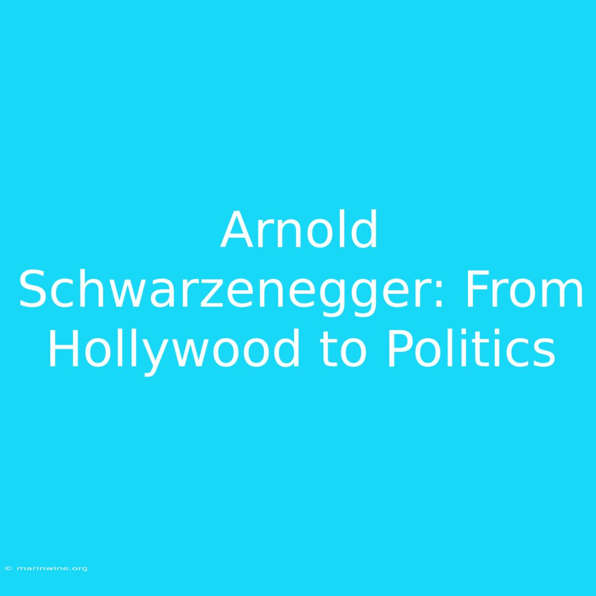 Arnold Schwarzenegger: From Hollywood To Politics 