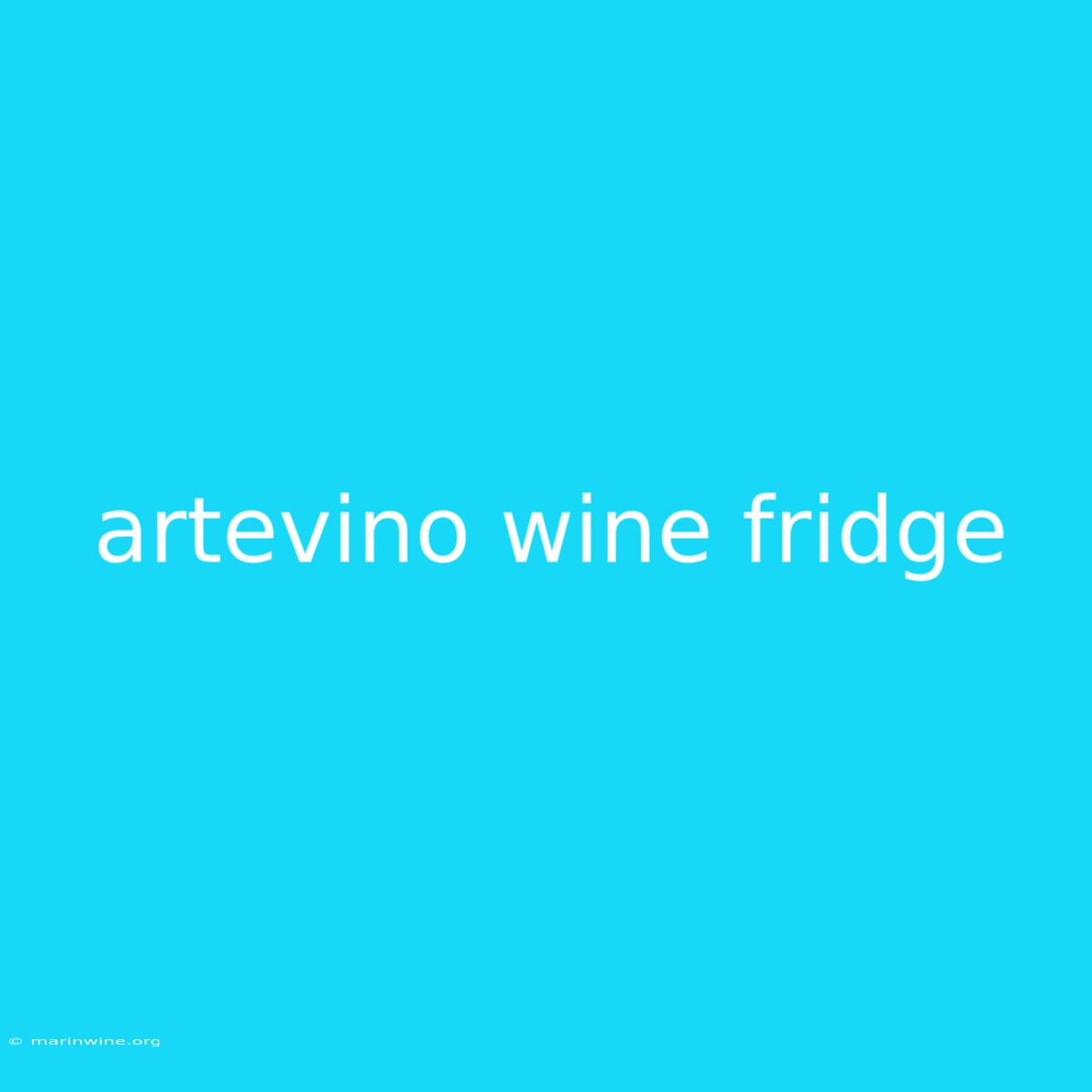 Artevino Wine Fridge