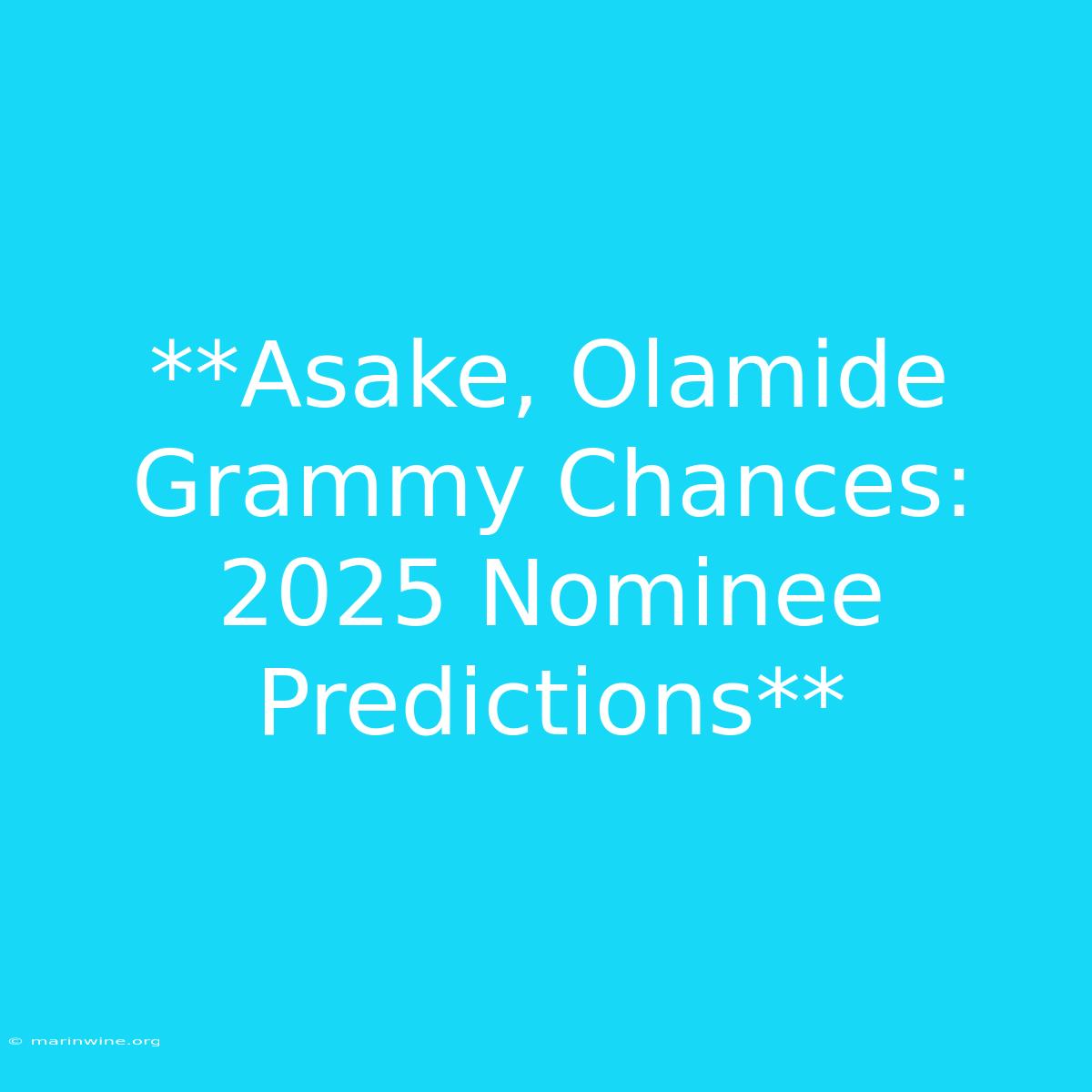 **Asake, Olamide Grammy Chances: 2025 Nominee Predictions** 