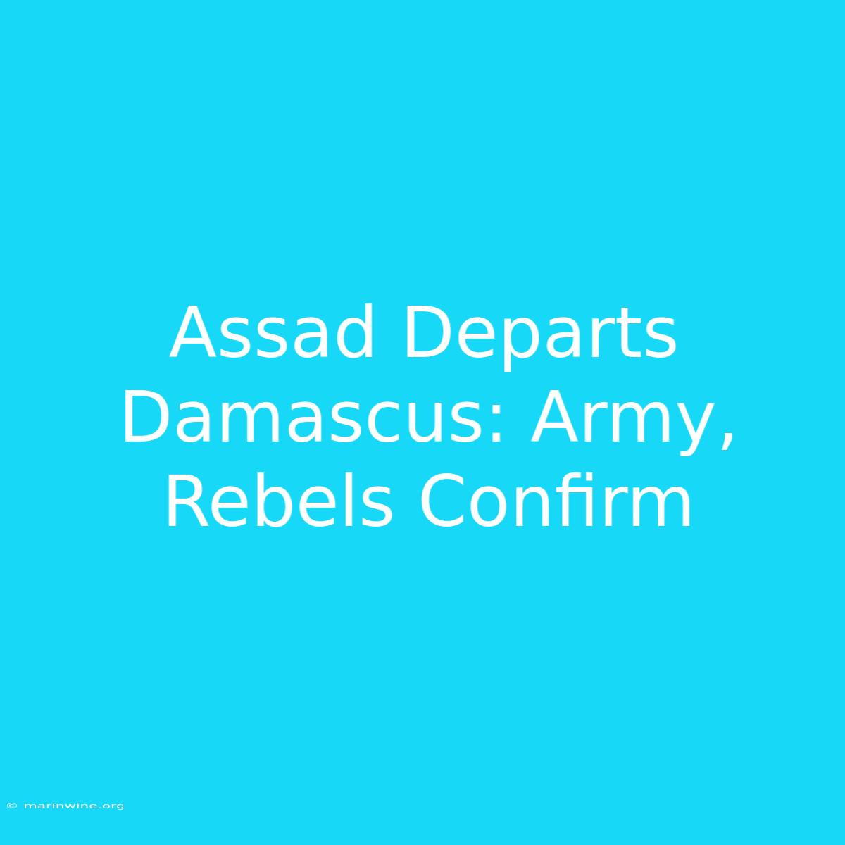 Assad Departs Damascus: Army, Rebels Confirm