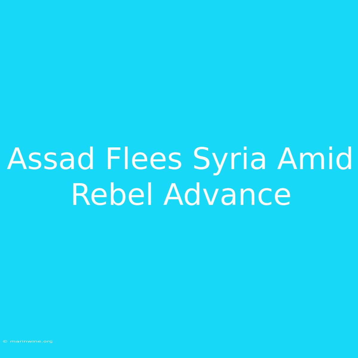 Assad Flees Syria Amid Rebel Advance