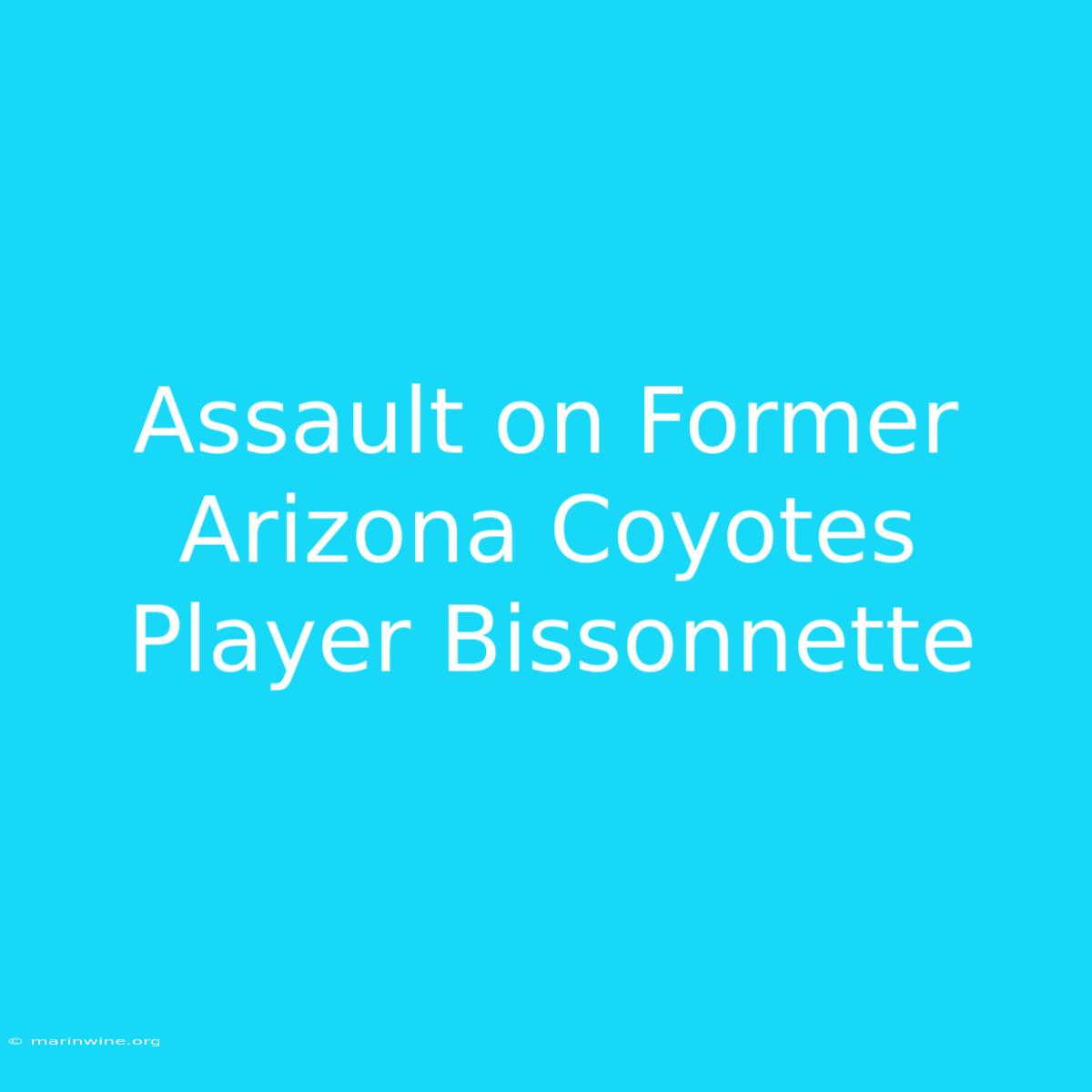 Assault On Former Arizona Coyotes Player Bissonnette