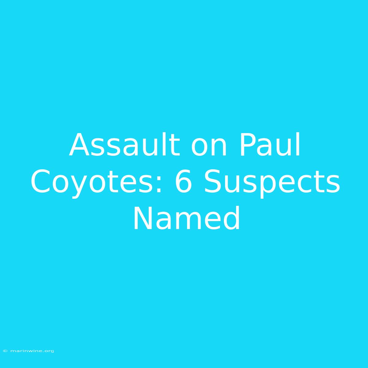 Assault On Paul Coyotes: 6 Suspects Named