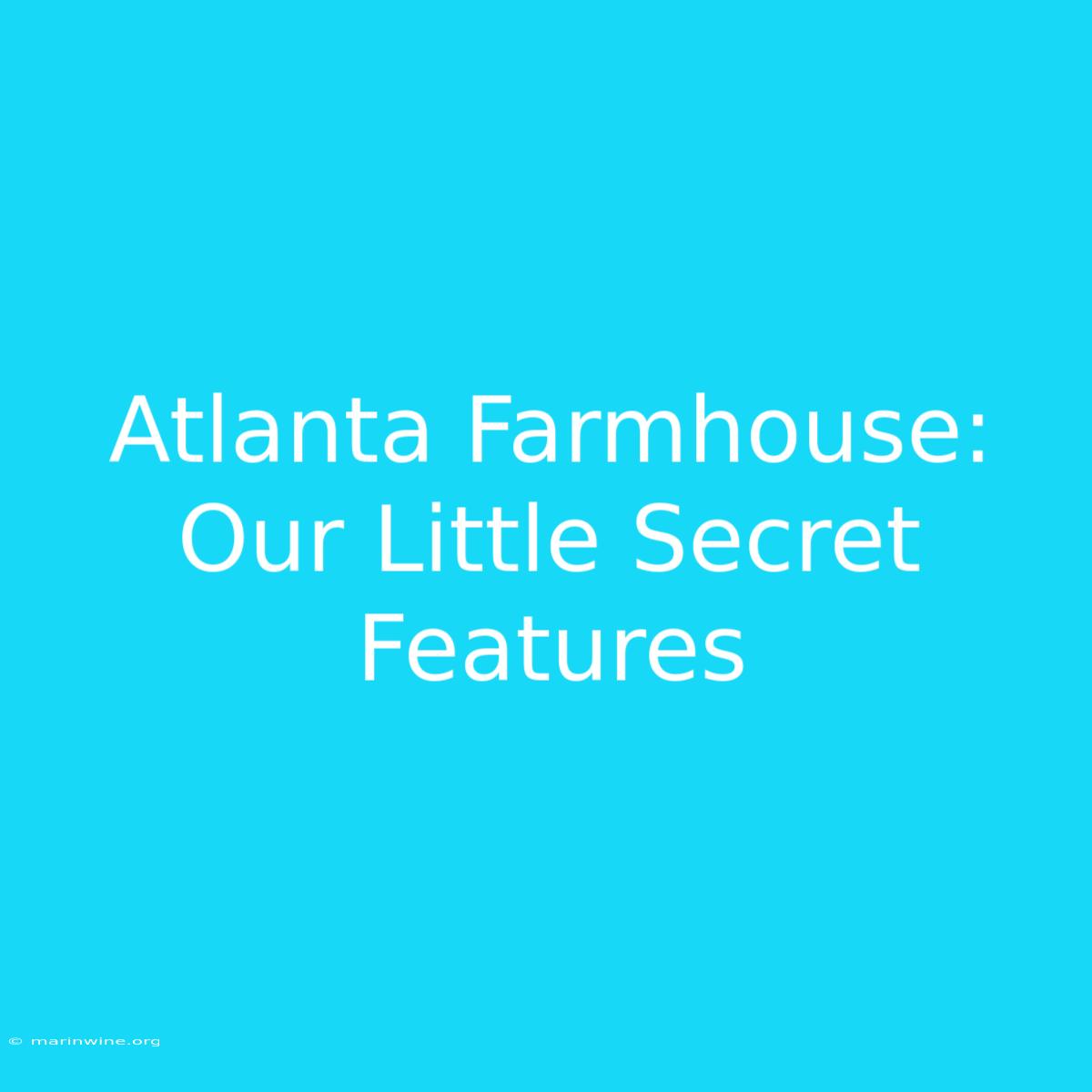 Atlanta Farmhouse: Our Little Secret Features