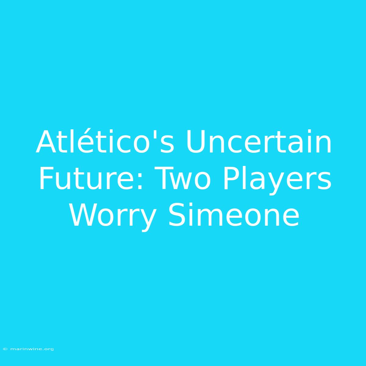 Atlético's Uncertain Future: Two Players Worry Simeone