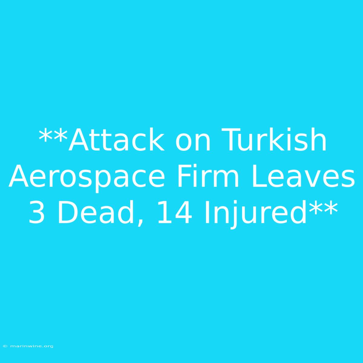 **Attack On Turkish Aerospace Firm Leaves 3 Dead, 14 Injured**