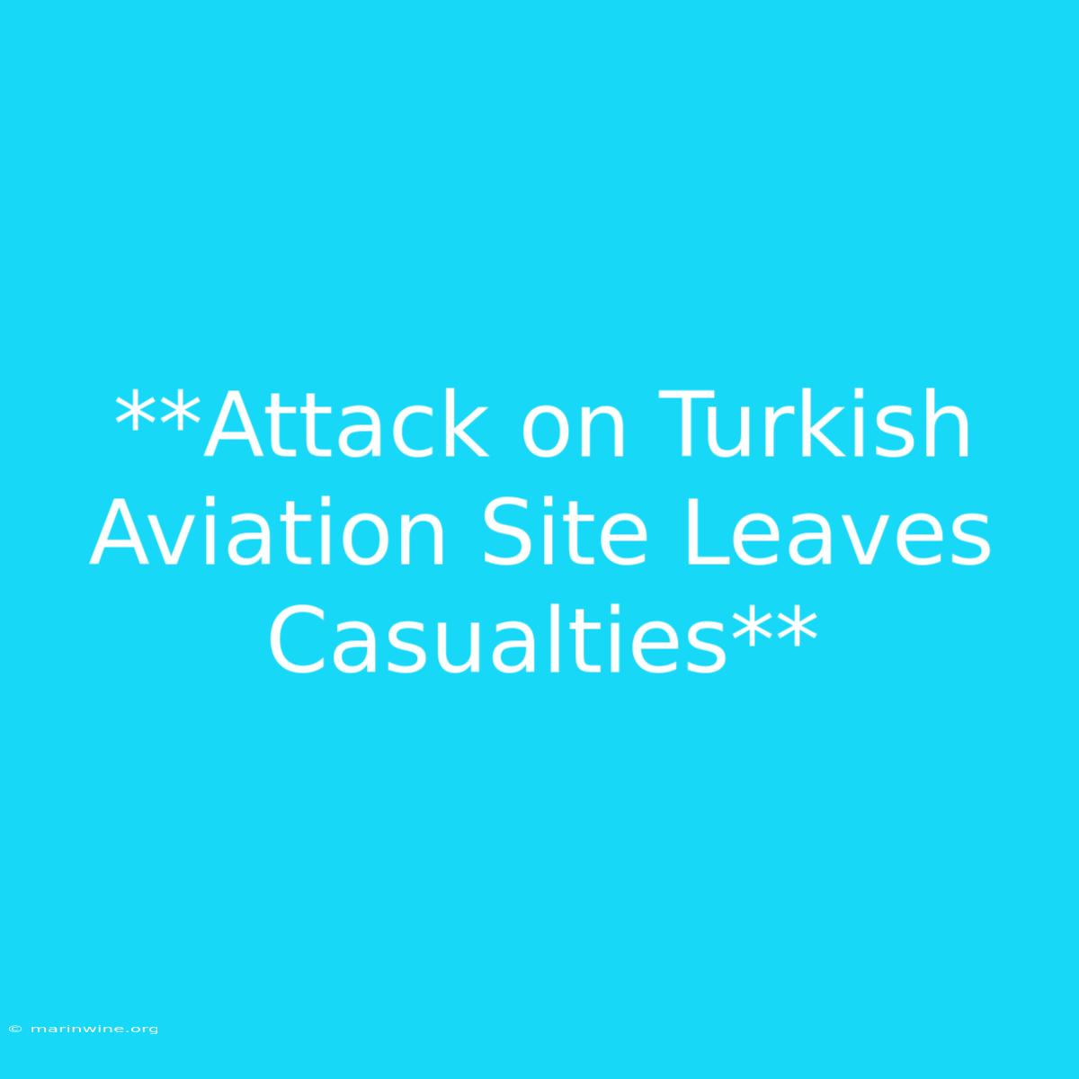 **Attack On Turkish Aviation Site Leaves Casualties**