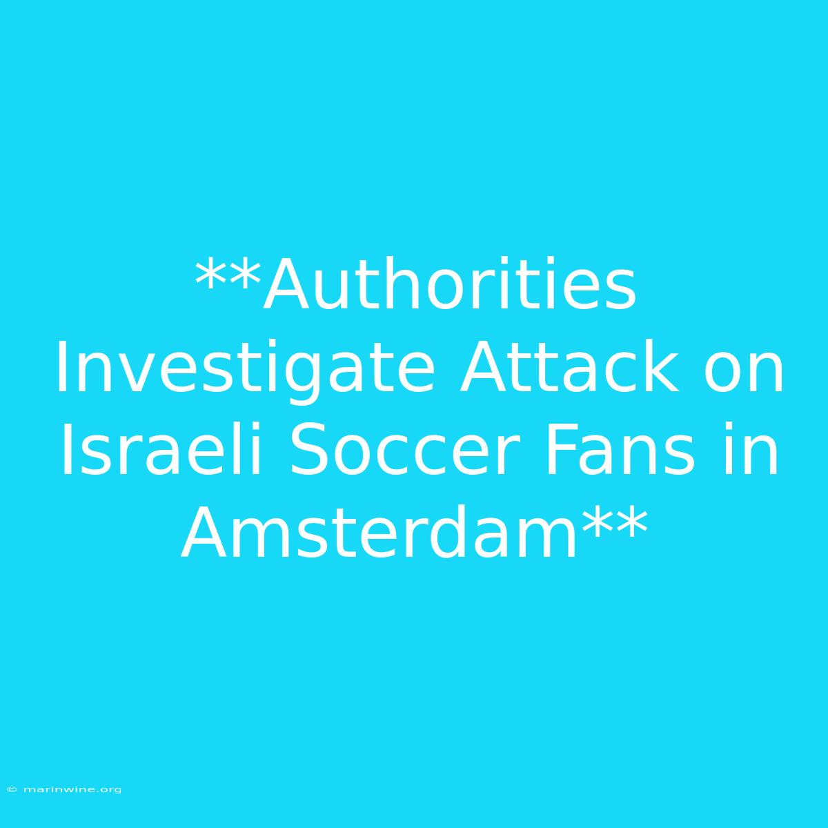 **Authorities Investigate Attack On Israeli Soccer Fans In Amsterdam**