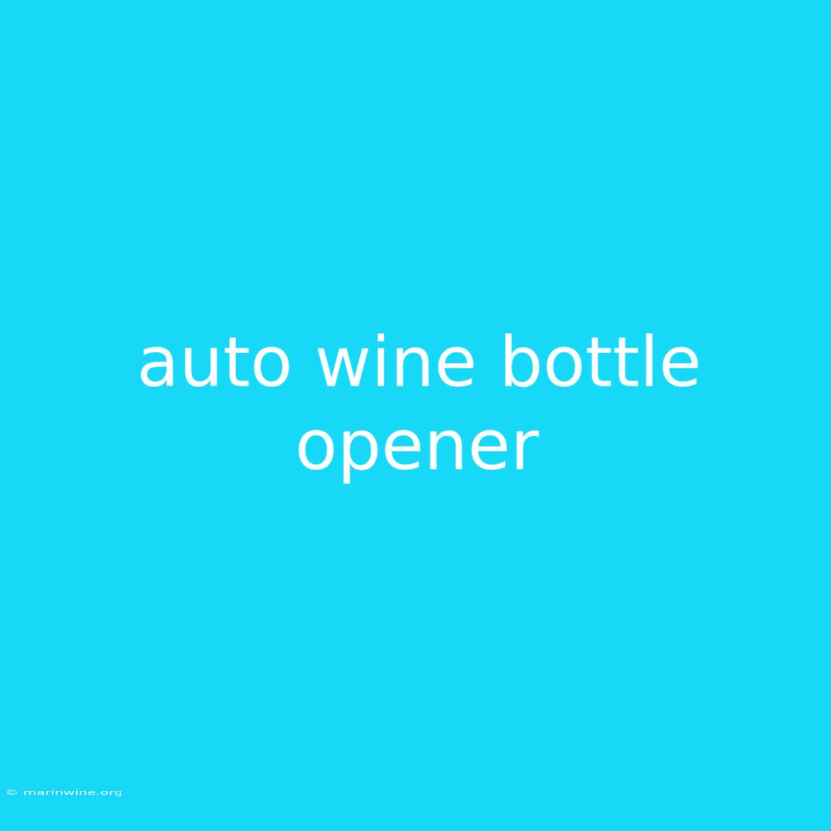 Auto Wine Bottle Opener