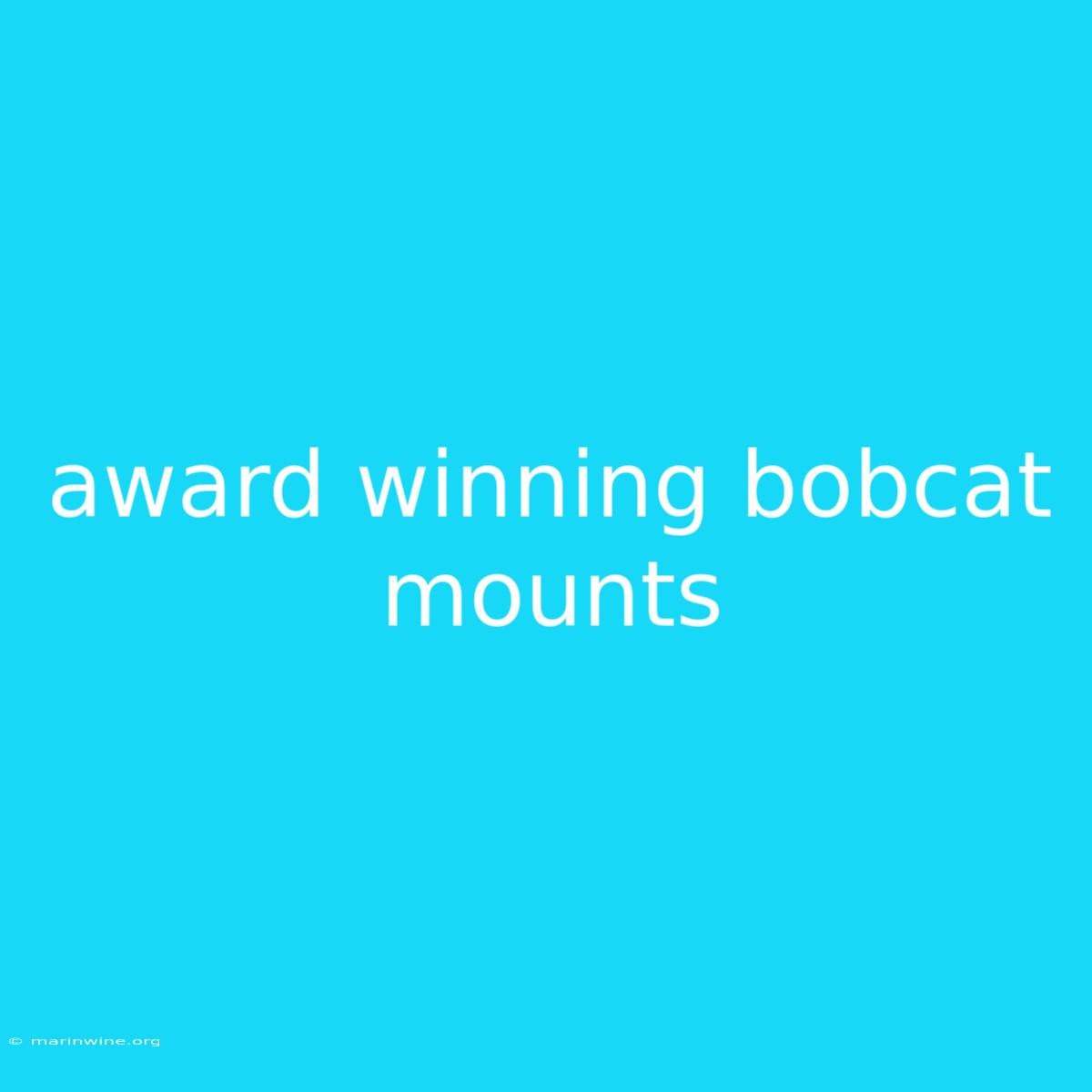 Award Winning Bobcat Mounts