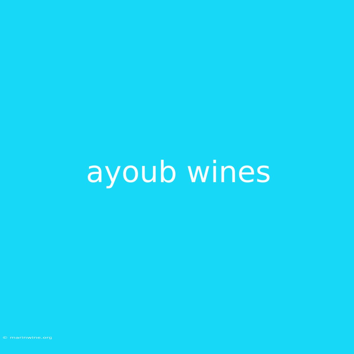 Ayoub Wines