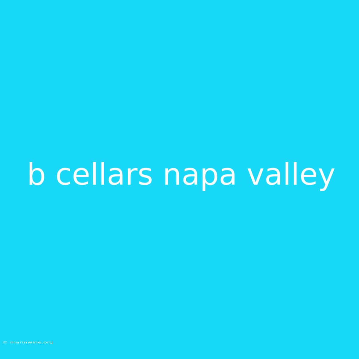 B Cellars Napa Valley