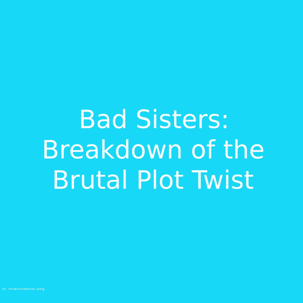 Bad Sisters: Breakdown Of The Brutal Plot Twist