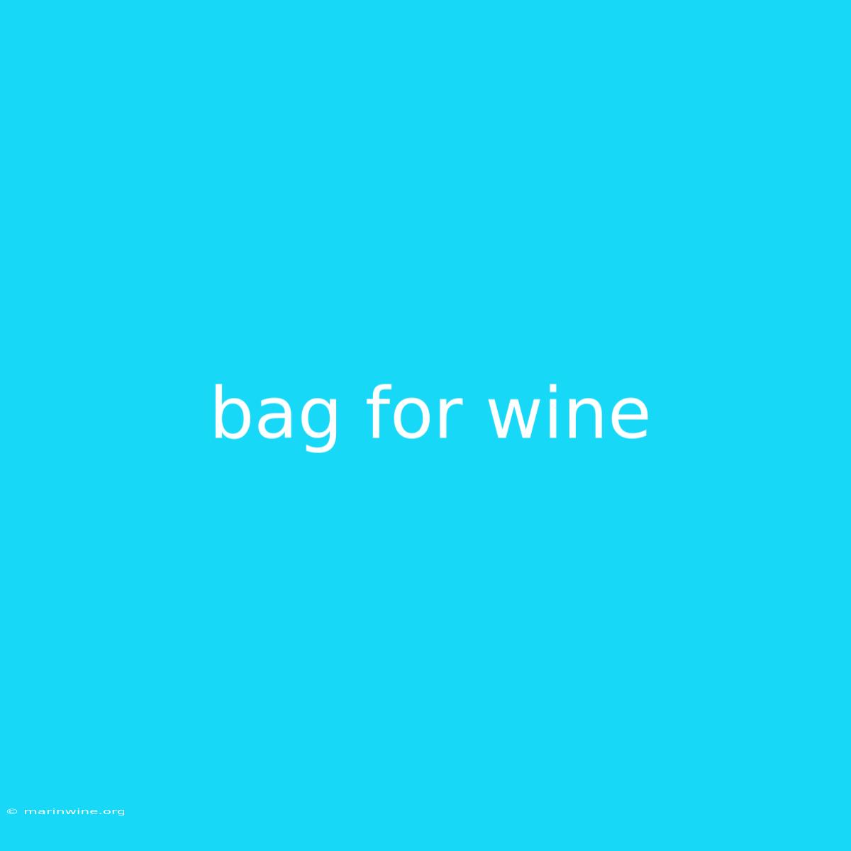 Bag For Wine