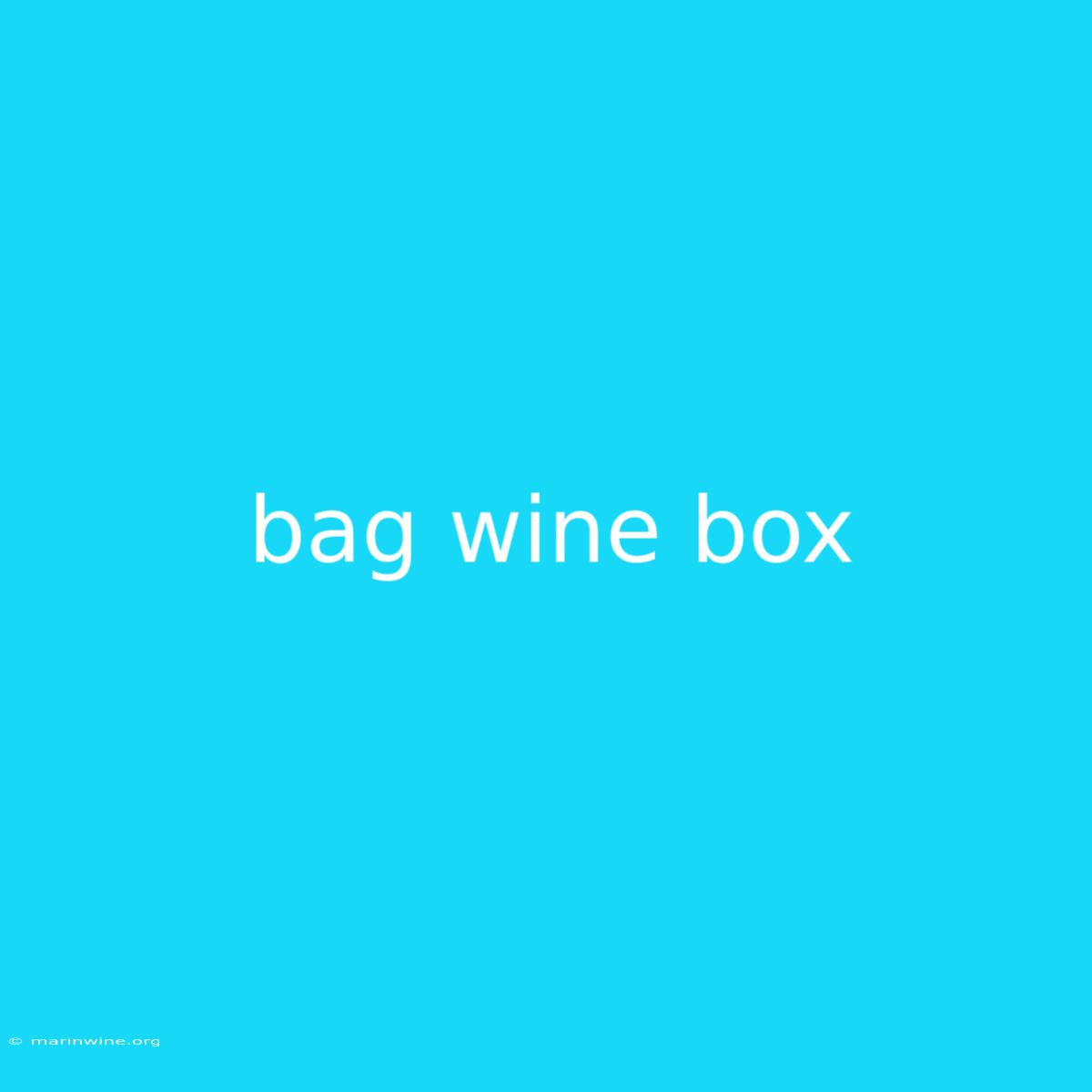 Bag Wine Box