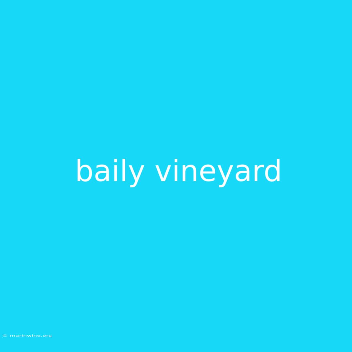 Baily Vineyard