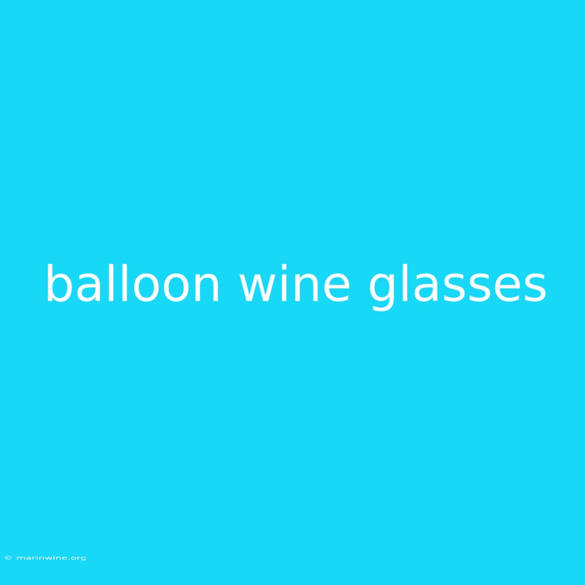 Balloon Wine Glasses